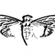 Imagen: logo Cicada 3301. Wikimedia Commons